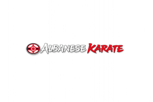 Kyokushin Karate